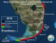 blue and green map of south florida outlining Florida Reef Tract