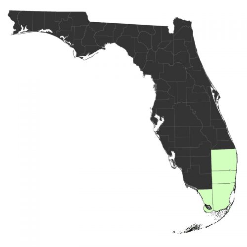 black map of Florida with south Florida highlighted in light green
